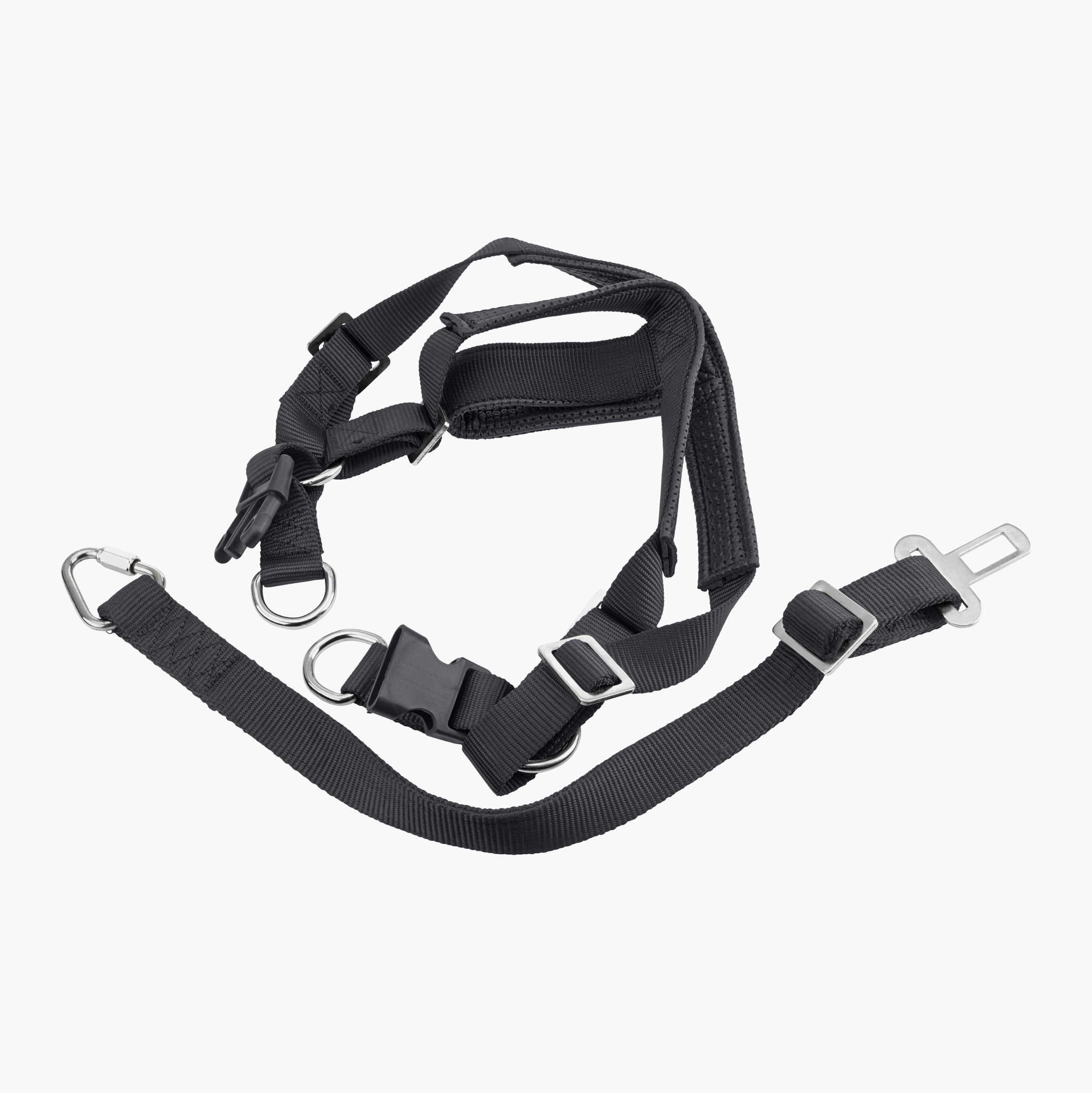 Principal 116+ imagen dog seat belt stuck in buckle In.thptnganamst