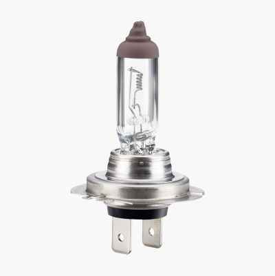 H7 24 online volt bulb