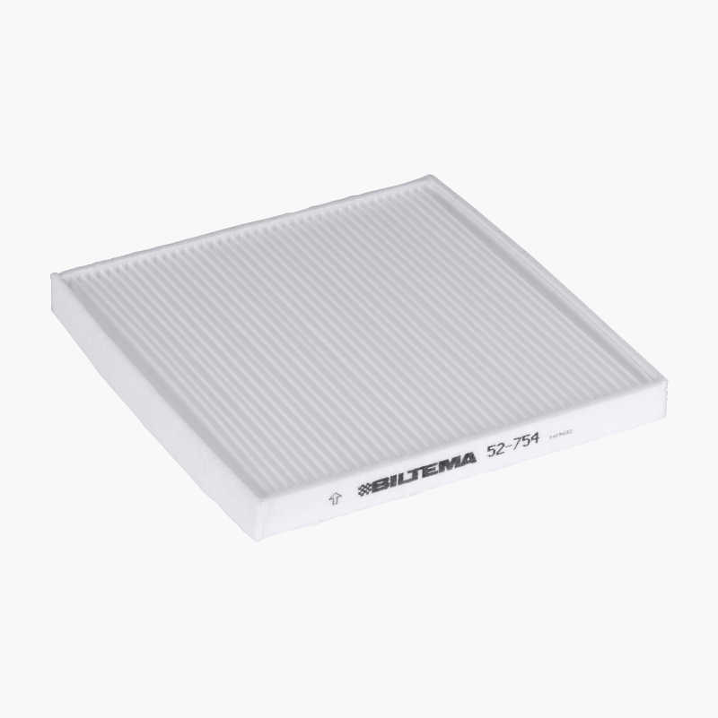Bielmeier Kohlefilter Typ AFFCA – 2 Stück, Für Dunstabzugshauben OSIMO & CENTO, 195x210 Mm