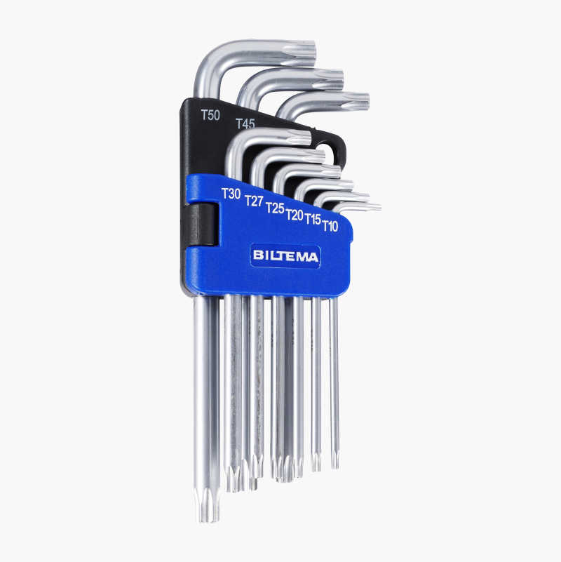 Torx Biltema