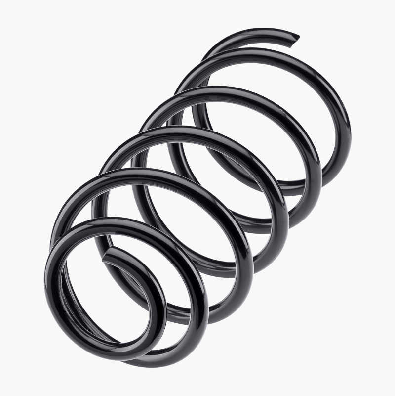 MOOG Moog81069 Rear Coil Springs Pair, 54 OFF