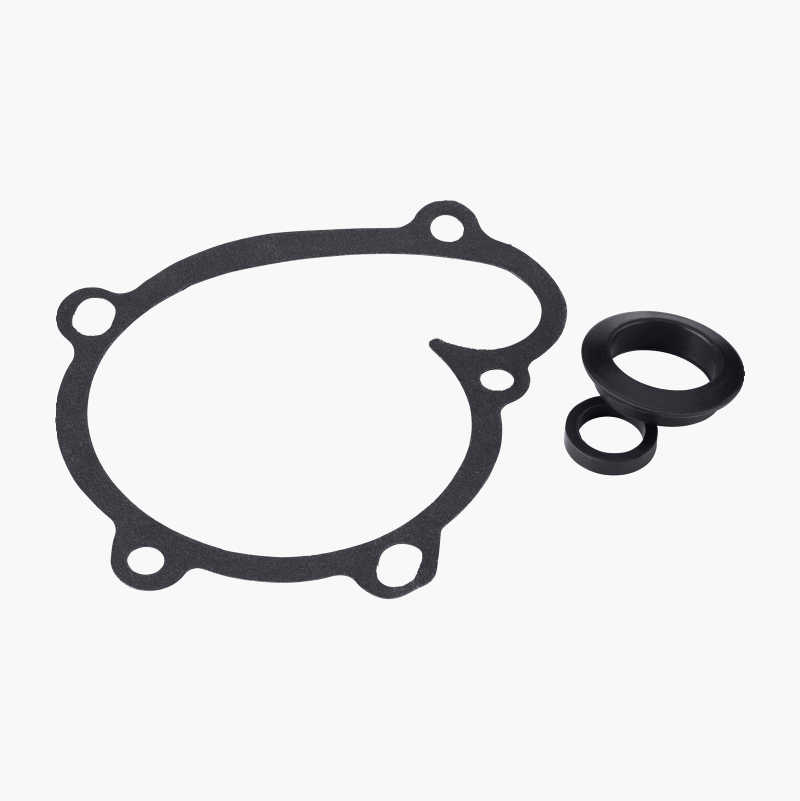 Water pump gasket kit