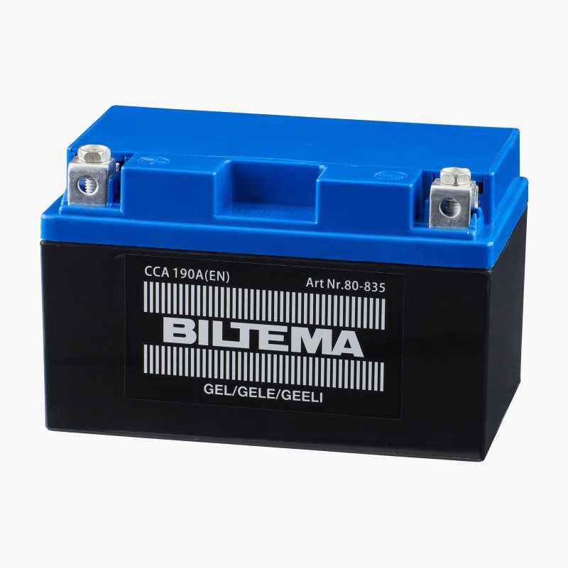 Gel Batteri Laddning