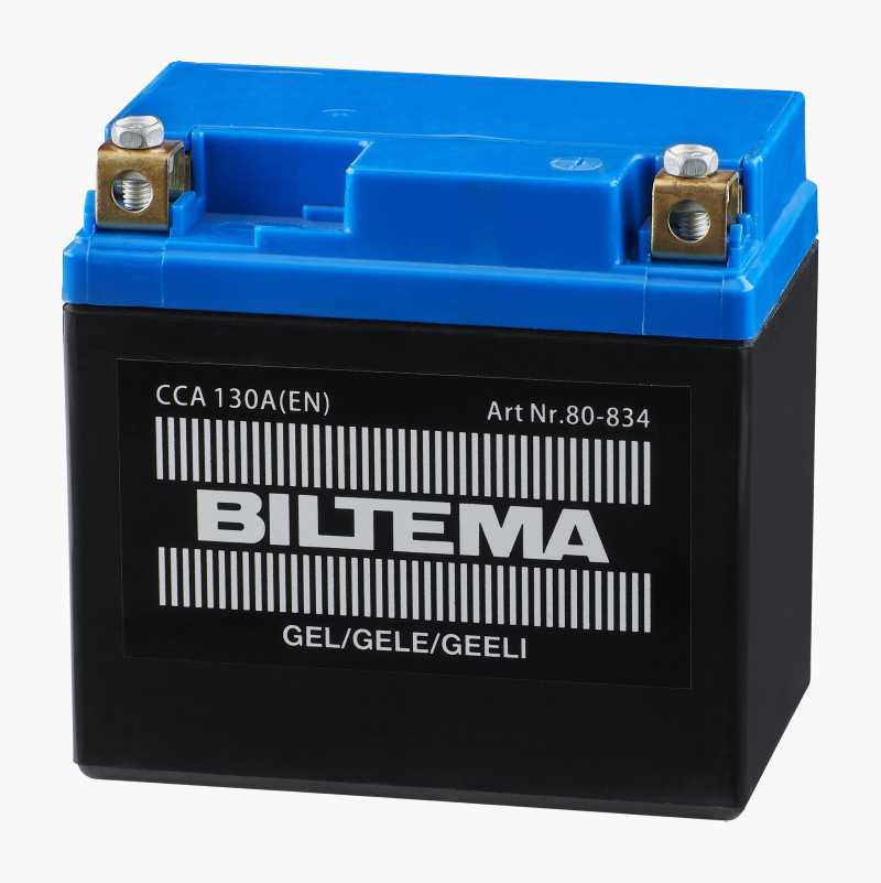 Gøre en indsats to uger Mose MC Batteri Gel, 12 V, 6 Ah, 113 x 70 x 105 mm - Biltema.dk