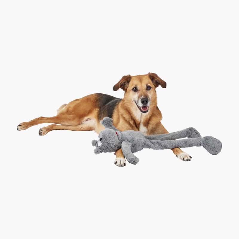 Squeaky moose dog store toy