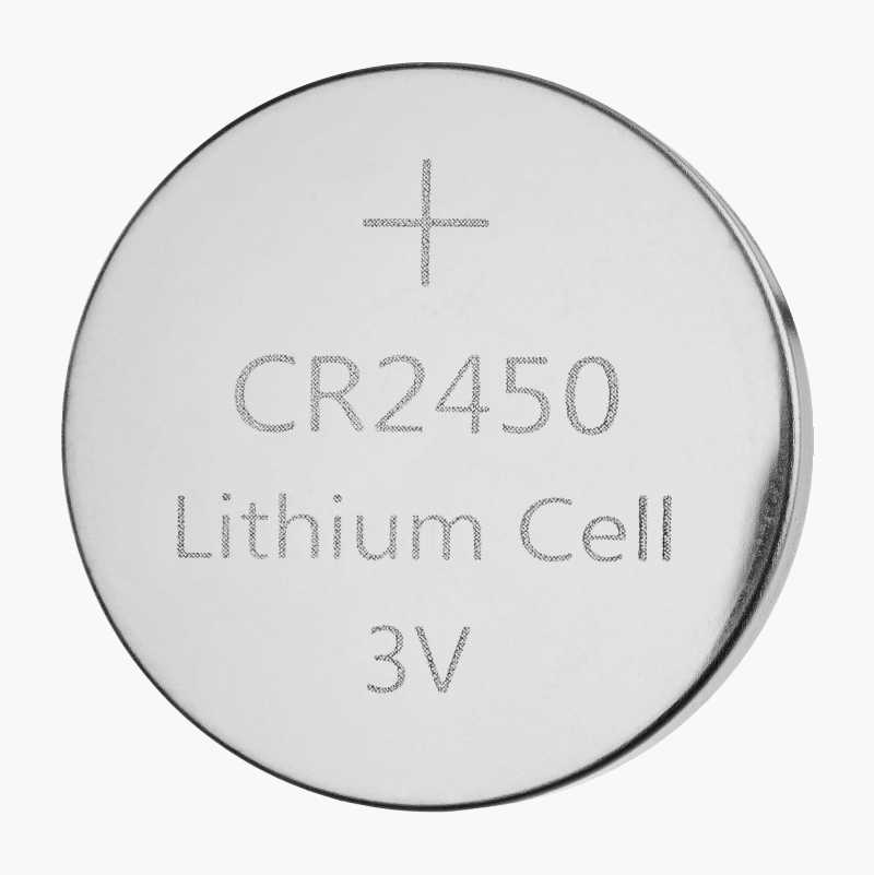 CR2450 Lithium Battery, 2-pack 