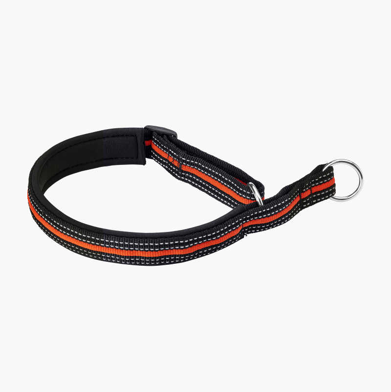 Collar & deals leash