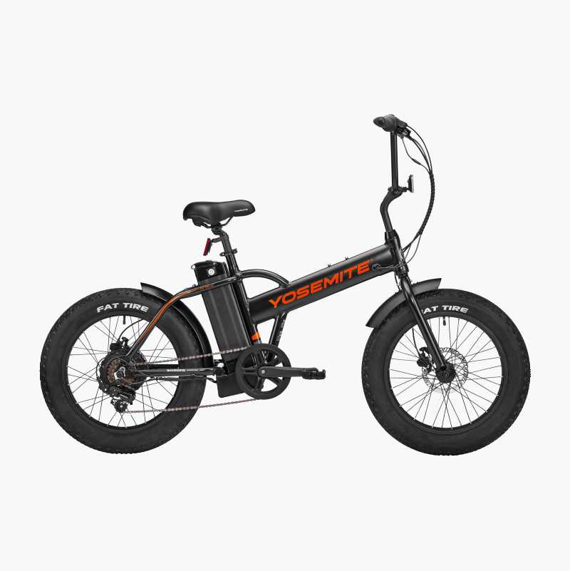 Electric Bike 20