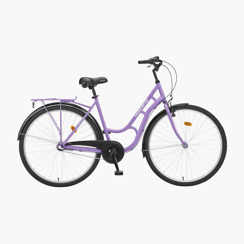 Ladies Bicycle 28