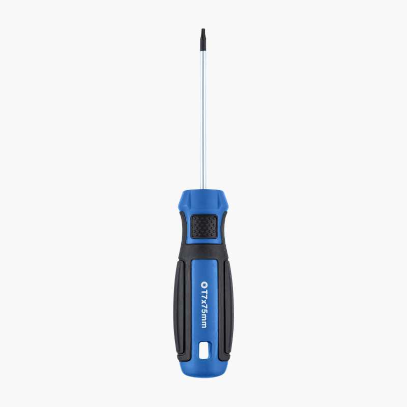 Torx Skruvmejsel