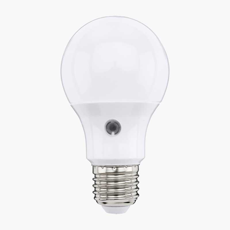 Motion detecting deals light bulb