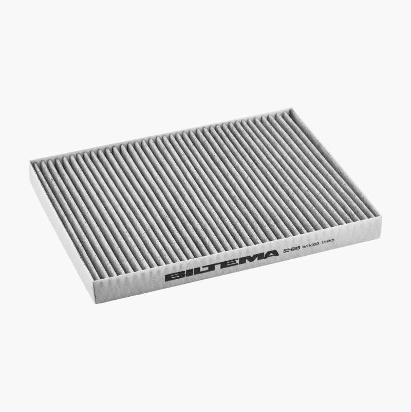 Bielmeier Kohlefilter Typ AFFCA – 2 Stück, Für Dunstabzugshauben OSIMO & CENTO, 195x210 Mm