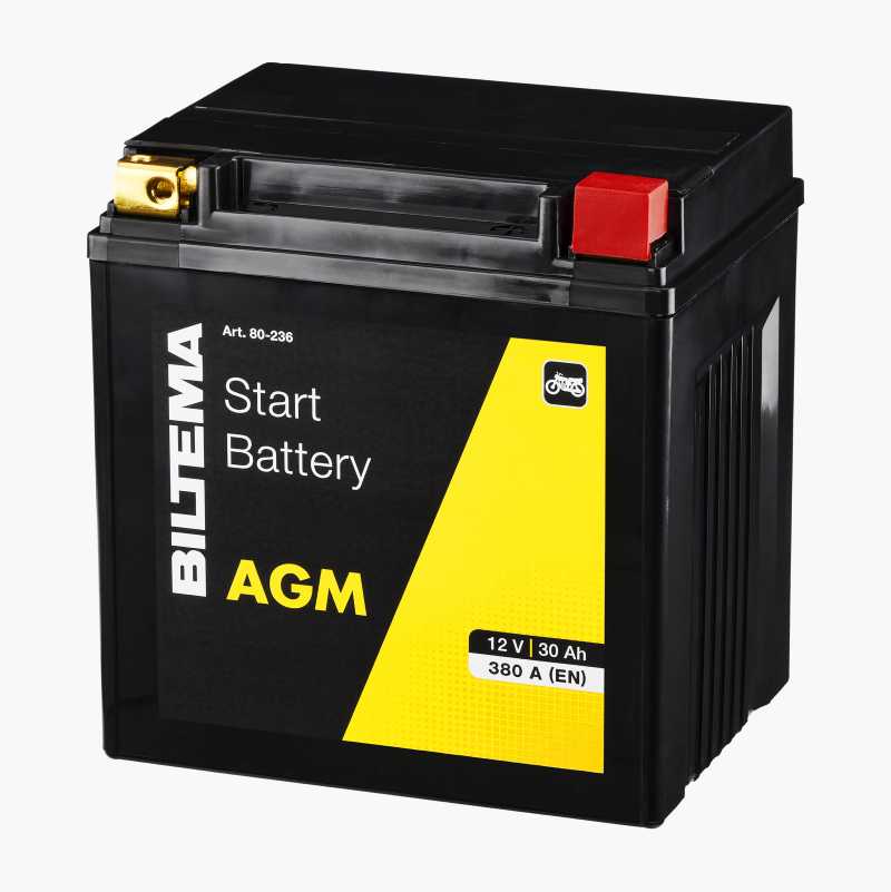 Mc Batteri Agm 12 V 30 Ah 167 X 126 X 176 Mm Biltema No