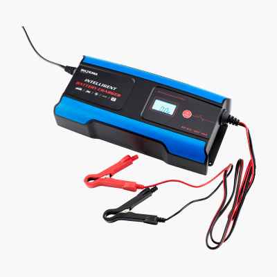 Batteriladdare Bilbatteri