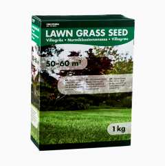 Lawn grass seed, 1 kg