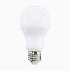 Normal bulb E27, frosted