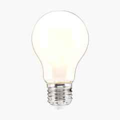 Normal Bulb E27, frosted