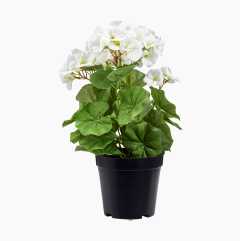 Kunstig plante, pelargonium, 35 cm