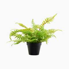 Artificial plant, fern