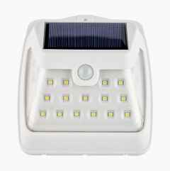 Solar lamp with motion detector