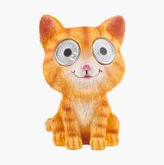 Aurinkokennovalaisin, kissa