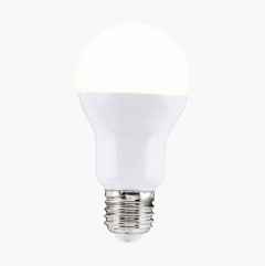 Normal Bulb E27, frosted