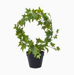 Artificial plant, ivy