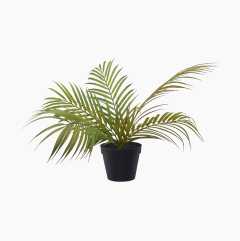 Konstgjord växt, palmträd
