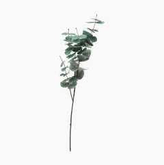 Konstgjord växt, eukalyptus på kvist