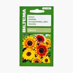Plantefrø, blomsterfrø og krydderurter - find så frø her - Biltema.dk