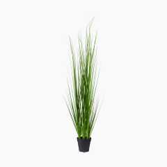 Artificial grass, 48 cm
